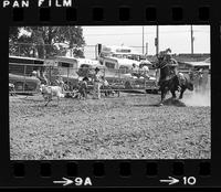 Dan McKee Calf roping