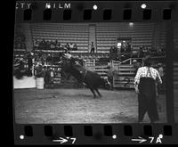 Herb Fricke on Bull #51