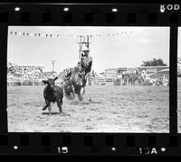 Linus Thornton Calf roping