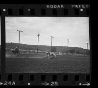 Unknown Steer roper