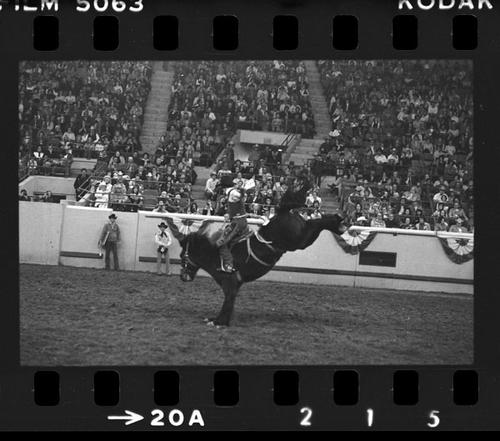 NFR, Oklahoma City, Roll R, 5th Perf.