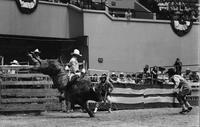 Billy Terry on Bull #23