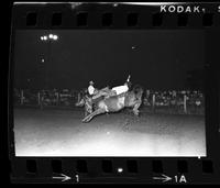 Unidentified Bareback rider
