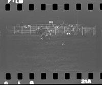 [No log sheet; unknown steer wrestlers and calf ropers]