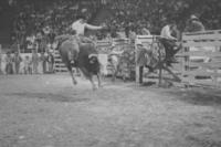 Randy Magers on Bull #13