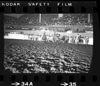 Tex Flynn Steer wrestling, 6 Sec