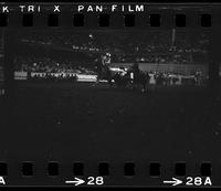 Ronald Curcio Steer wrestling