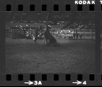 Mel Potter Calf roping