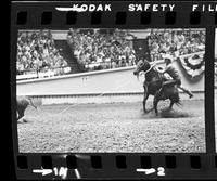 Linus Thornton Calf roping