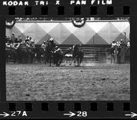 Ed Galemba steer wrestling