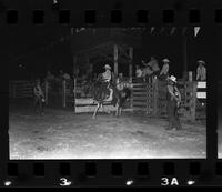 Clayton Wise on unknown Saddle bronc