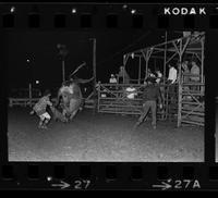 Earl Williamson on Bull #4