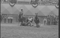 Randy Barthle Steer wrestling