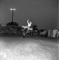 Skip Martin on Brown Jug