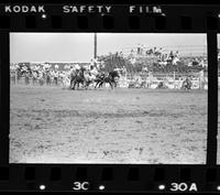 Jim Treadway Steer wrestling