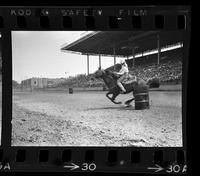 Peggy Carroll Barrel racing