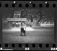 Buddy Lytle Calf roping