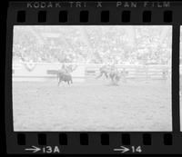 Jeff Copenhaver Calf roping