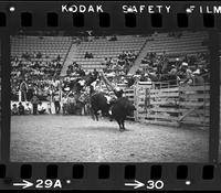 Ronnie Bowman on Bull #033