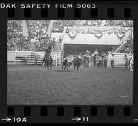 Bob Christophersen Steer wrestling