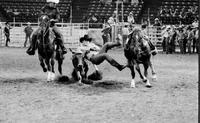 Jack Swedlund Steer wrestling