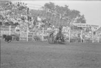 Broadus Gravette Calf roping