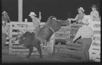 Dennis Shauck on Bull #45