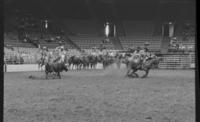 Steve Clegg & Jack Dewey Team roping