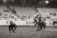 Roy Burk Calf roping