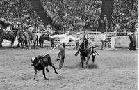 Tony Adams Calf roping