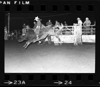 Mike Henderson on Bull #8