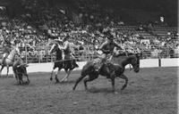 Ewing & Clegg Team roping