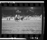 Joe Richmond Steer wrestling