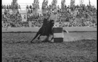 Robin Travis Barrel racing