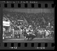 Unidentified Rodeo Clown Bull fighting