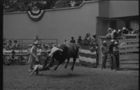 Unidentified rider on Bull #13