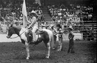 Introduction of Saddle Bronc riders