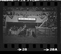 Larry Ferguson Calf roping