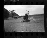 Gloria Horstman Novice Barrel racing