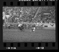 Billy Doenz Calf roping