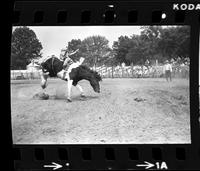 Joe Graham on Empty Saddles