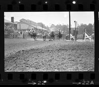 Larry Moriarity Steer wrestling