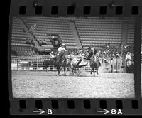 Ed Galemba Steer wrestling