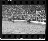 John Hudson Calf roping