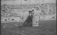 Shanna Bush Barrel racing