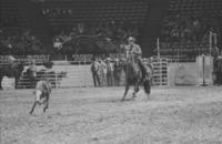 Kyle Ditto Calf roping