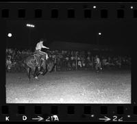 Fred Boebel on Saddle bronc #3