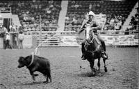 Donald Bates Calf roping