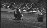 Unidentified Rodeo clown Bull fighting