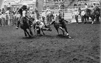 Butch Myers Steer wrestling